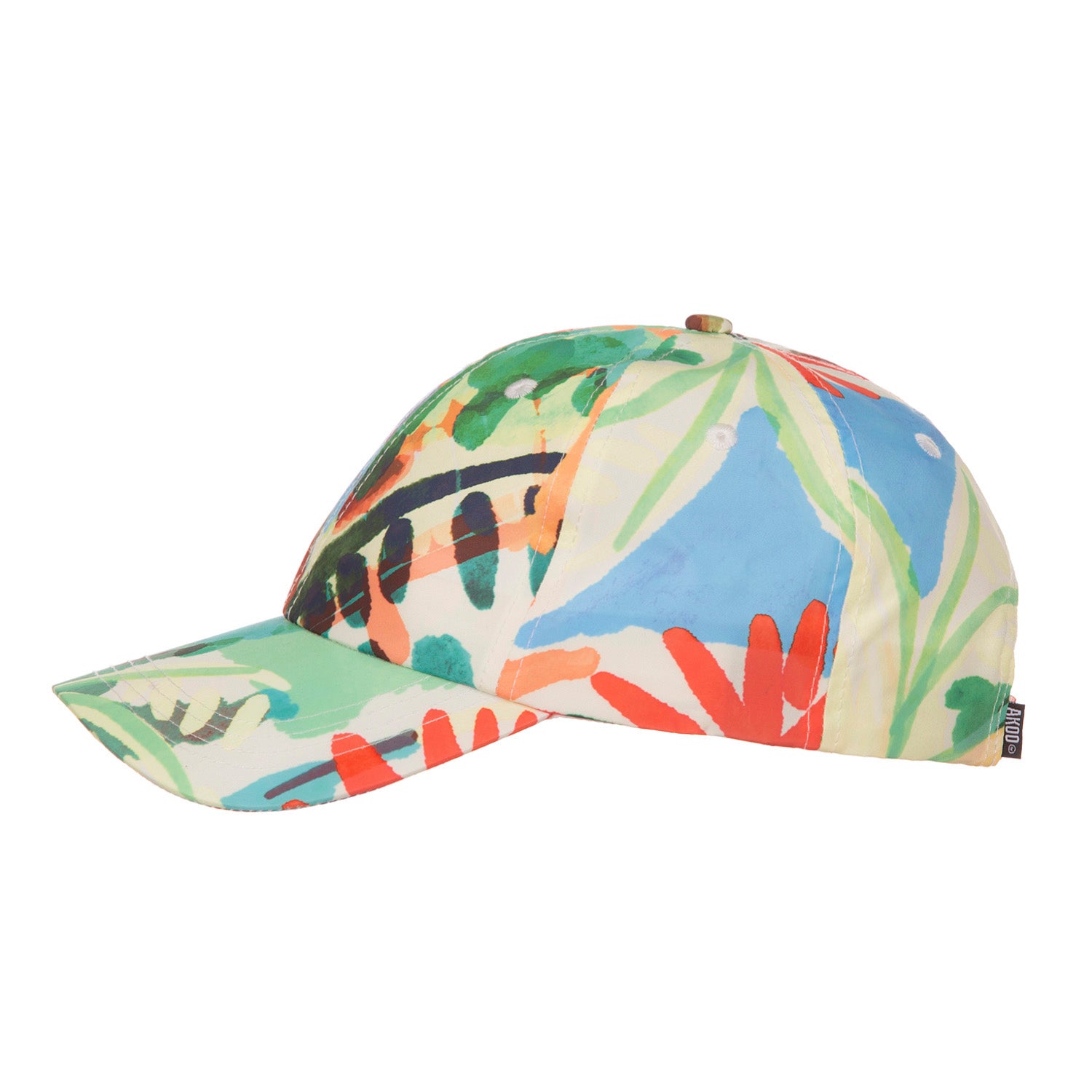 Currency Adjustable Hat